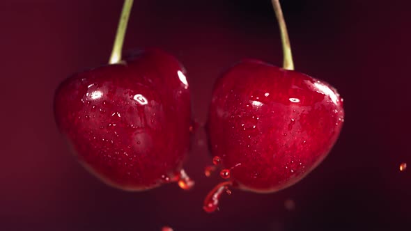 Sweet Cherries on Stems Colliding and Splashing Juice Droplets in Slow Motion alt
