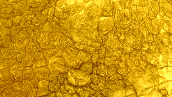 Gold Graphic Video Texture