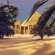 Pyramid Among Palm Trees - VideoHive Item for Sale