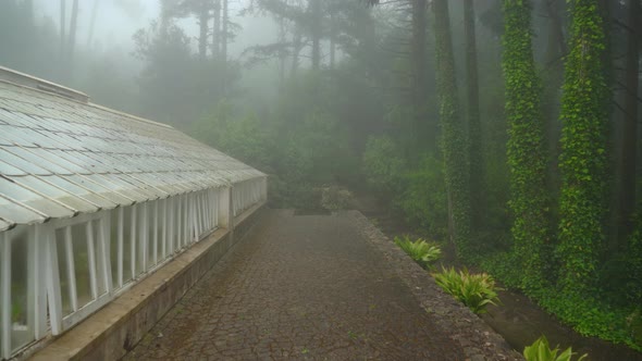 Greenhouses With Opened Windows Covered with Mist in Pena Garden Park and Trees Covered with Leaves