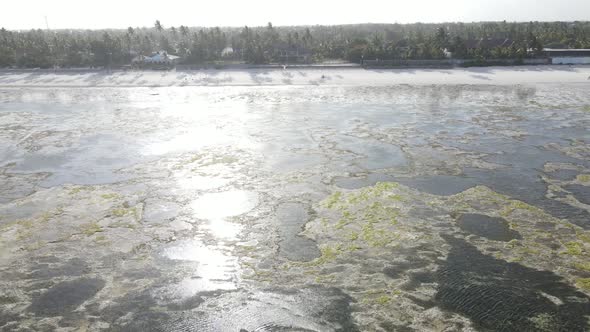 Low Tide in the Ocean Near the Coast of Zanzibar Island Tanzania alt