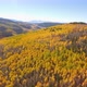 Fall colors on Kenosha Pass, Colorado - VideoHive Item for Sale