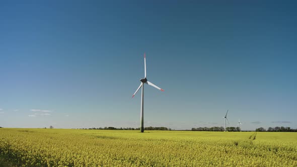 Windmills in yellow rapeseed field