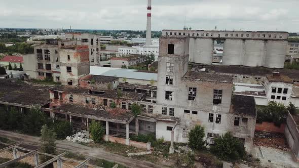 Ruins of an old factory. Abandoned building was covered with grass and trees. alt