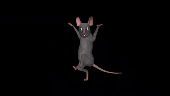 Funny Rat - Dance Loop - III, Motion Graphics | VideoHive
