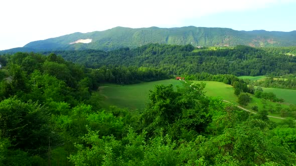 Green Forests and Pastures Under Hills