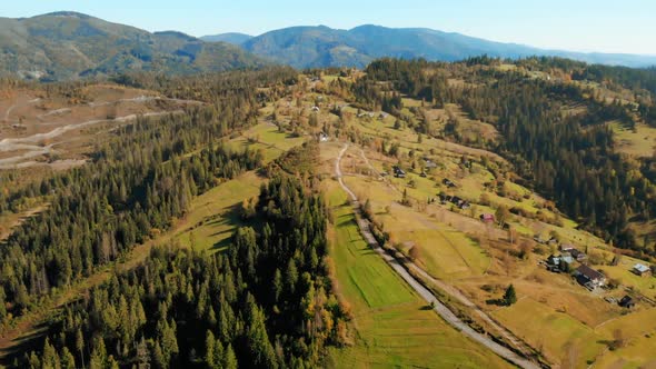 Aerial Moving Forward Over Forest alt