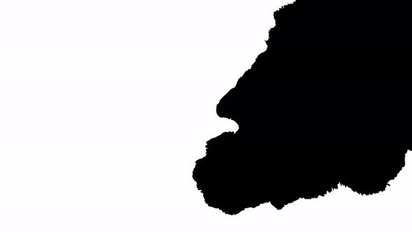 Ink Bloom. Beautiful Black Watercolor Ink Drops Transition on a White Background. Move From Right To alt