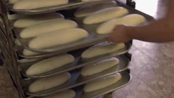 Uncooked Raw Bread Dough on a Rack alt