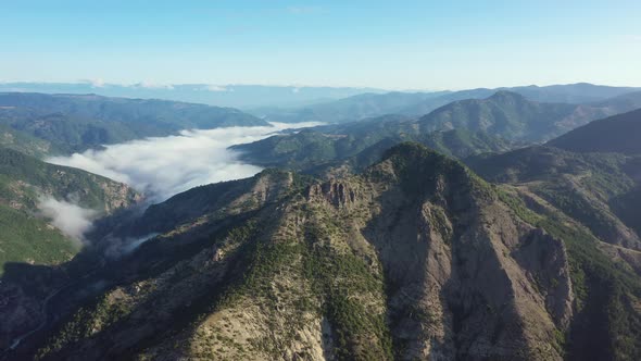 Morning in Mountain and Beautiful Fog