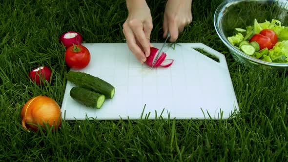 Woman Cutting Radish in Garden