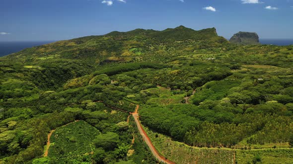 Mountain Top Road in the Jungle of Mauritius Island Mauritius