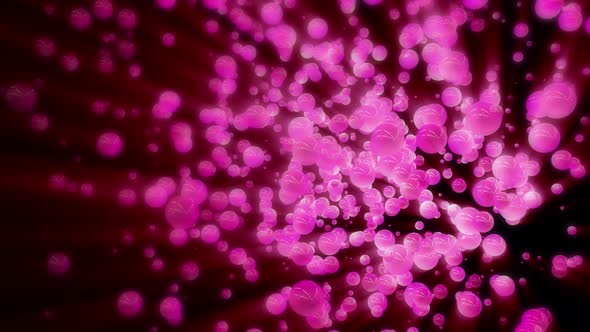 Beautiful Glowing Large Pink Particles Animation on a Black Background