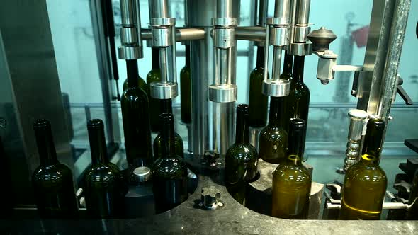 Conveyor with Wine Bottles at Wine Factory White Wine Production Bottle Washing and Filling alt