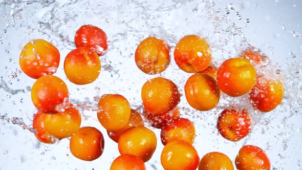 Super Slow Motion Shot of Flying Fresh Apricots and Water Side Splash at 1000 Fps alt