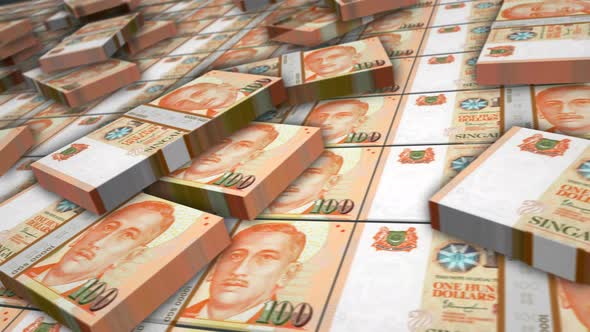 Singapore Dollar money banknote pack loop alt