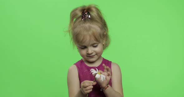 Girl Holds Chamomile Flower and Tells Something. Happy Little Child. Chroma Key alt