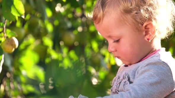 Little Girl with Blond Hair Resting in the Garden a Child Outdoors Near an Apple Tree alt