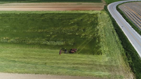Aerial View of Amish Farm Worker Harvesting Spring Crop With Team of 2 Horses alt