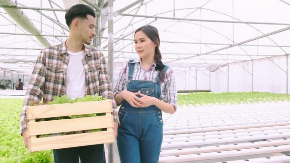 handheld asian couple farmer takecare and discuss how to growth plant in hydroponic farm alt
