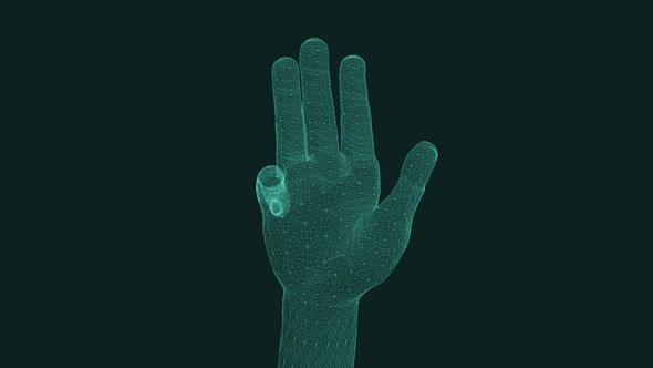 Hologram Virtual Hand