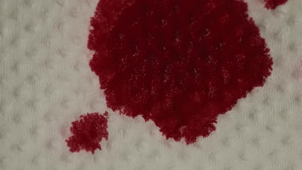 Red Blood Is Absorbed Into the Paper White Napkin Paper, Macro Shot alt