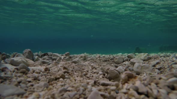 View of seabed