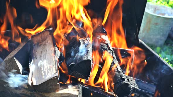 Fire Flames From Wood Ember for Grill Bbq Firewood alt
