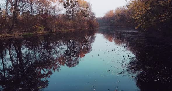 Flight of the Camera Over the River with a View of Autumn Trees and Reflections of Colorful Foliage