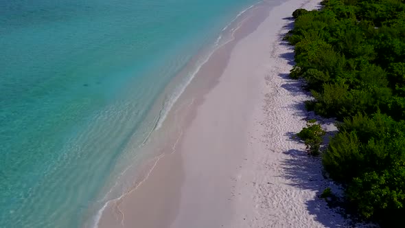 Aerial drone panorama of seashore beach by sea and sand background alt
