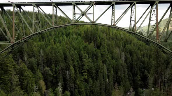 flying below of a bridge and on top of a forest, The High Steel Bridge is a truss arch bridge that s alt