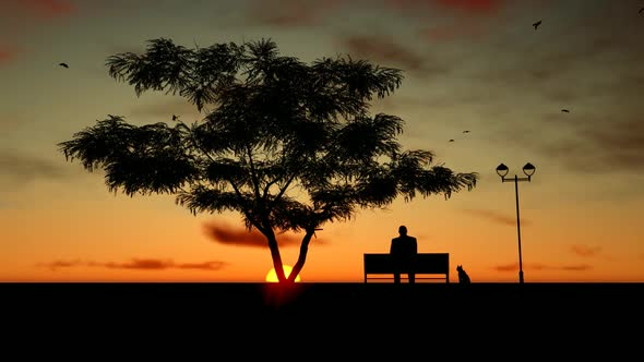 Elderly Man Sitting Alone On Bench In Sunset Landscape