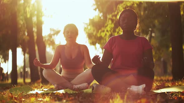 Yoga Together Meditation Outdoors Park Women Lotus alt