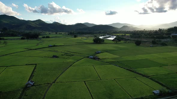 Aerial view of paddy field or rice terrace and the river in valley, Mae Hong Son, Thailand by drone