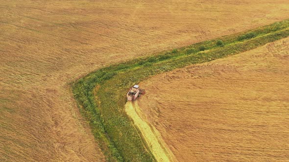 Aerial View Of Rural Landscape. Combine Harvester Working In Field, Collects Seeds. Harvesting Of alt