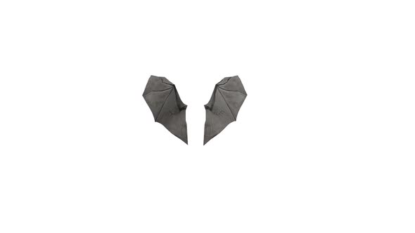 Bat Wings Looped