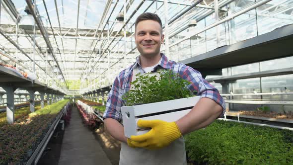 Cheerful Young Farmer Smiling in Greenhouse, Investment in Farming Business