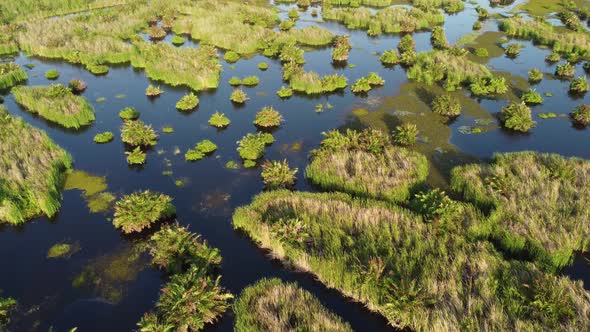 Peatlands and marshes is wetland, Stock Footage | VideoHive