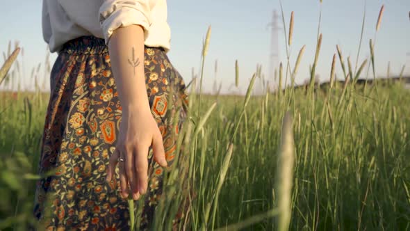 Hand passing through a field