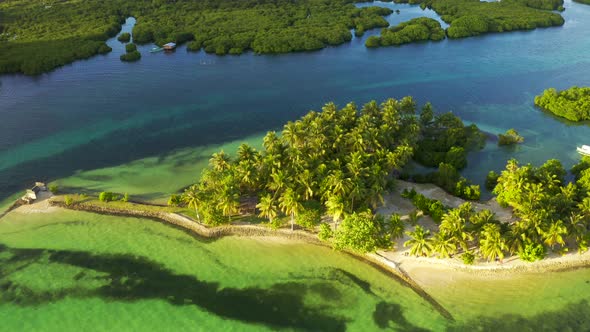 Tropical White Sand Beach with Coconut Palm Tree Background Idyllic Turquoise Sea Aerial View alt