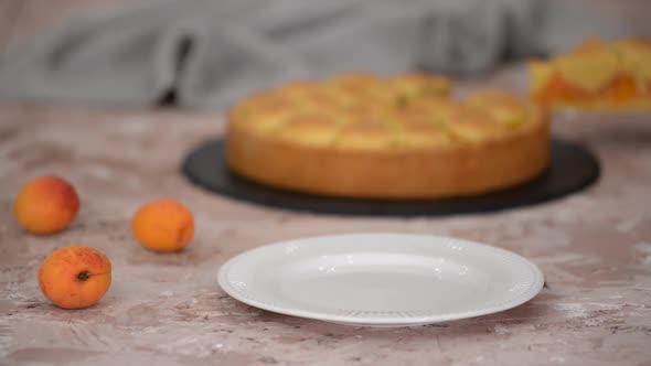 Piece of fresh apricot shortcrust pie.