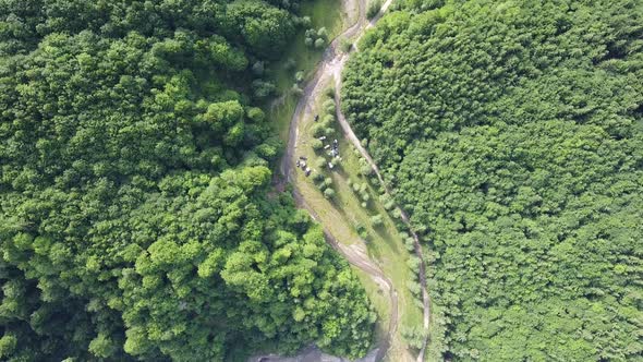 Forest Camp with SUV Vehicles and Tents