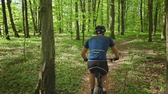 A Man on a Bicycle is Riding Along a Forest Path alt
