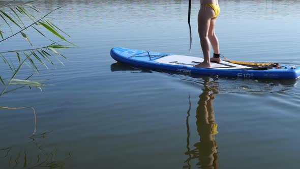 Woman On Sup Surf Swimming. Watersport Floating Surfboard Sport Recreation