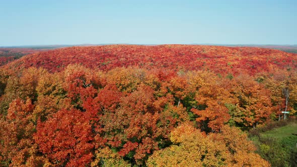 Aerial ascending view of colorful forest with changing leaves in autumn extending onto rolling hills alt