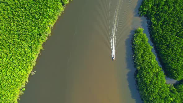 Top view of the boat cruising along the river with mangroves surrounding. alt