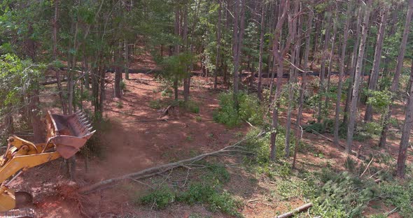 A Deforestation and Uprooting of Trees Occurs When Land is Cleared to Construct Houses in a alt