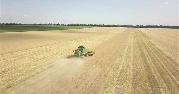 green combine in the field//4k alt