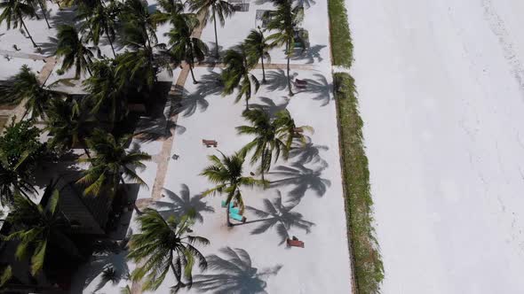 Ocean Coastline with Paradise Beach Hotels and Palm Trees Zanzibar Aerial View alt
