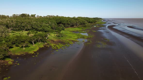 Rising aerial of woodlands and sandbanks by edge of Rio de La Plata alt